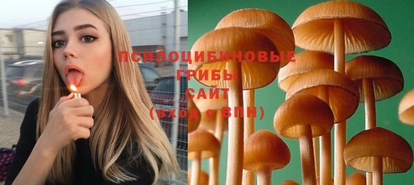 эйфоретик Алзамай